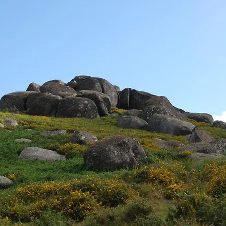 Hotel Carvalho Araujo 2*