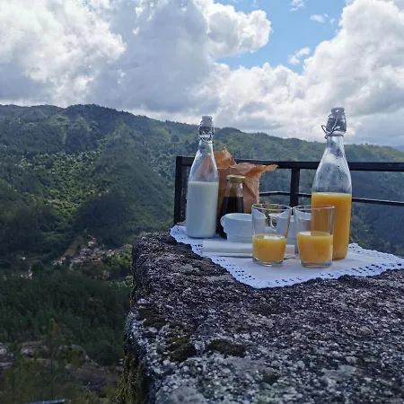 Carvalho Araujo 2* 제어스