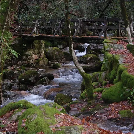 Hotel Carvalho Araujo