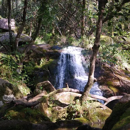Carvalho Araujo 호텔 2*
