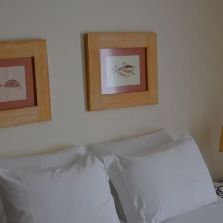 Hotel Carvalho Araujo