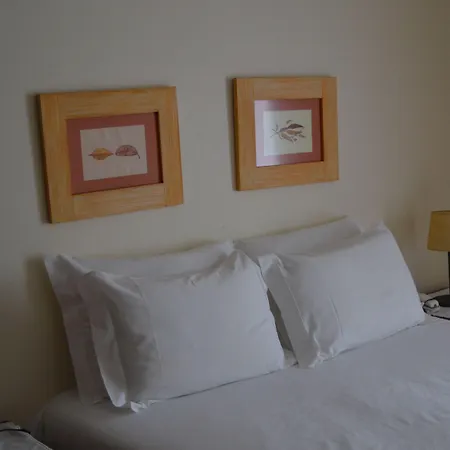 Carvalho Araujo Hotel