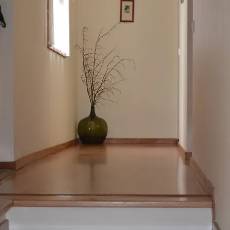 Carvalho Araujo Hotel