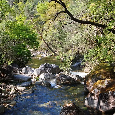 Hotel Carvalho Araujo