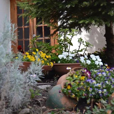 Carvalho Araujo Geres