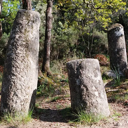 Carvalho Araujo 제어스