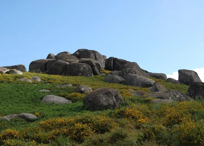 Hotel Carvalho Araujo 2*