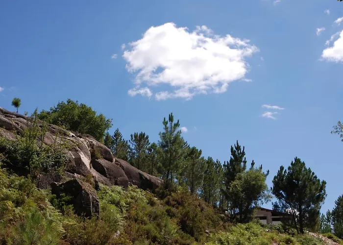 Carvalho Araujo Hotel