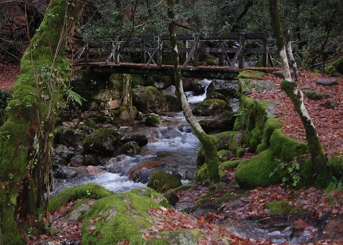 מלון Carvalho Araujo