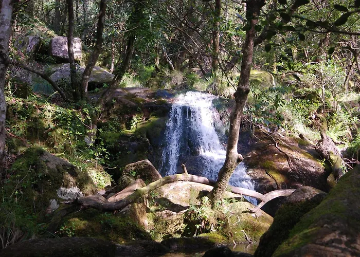 Carvalho Araujo Hotel 2*