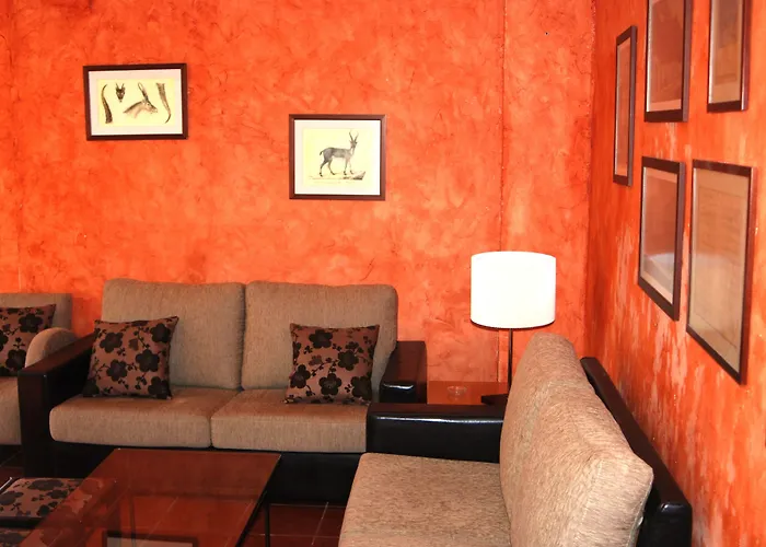 Carvalho Araujo ג'רס