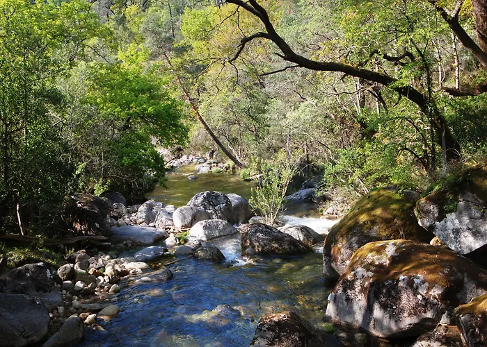 מלון Carvalho Araujo