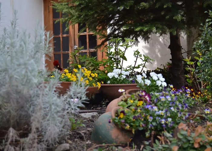 Carvalho Araujo ג'רס