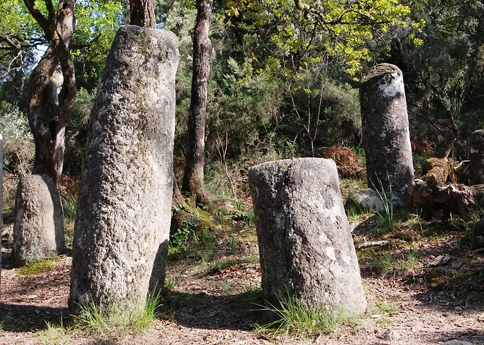 Carvalho Araujo Geres